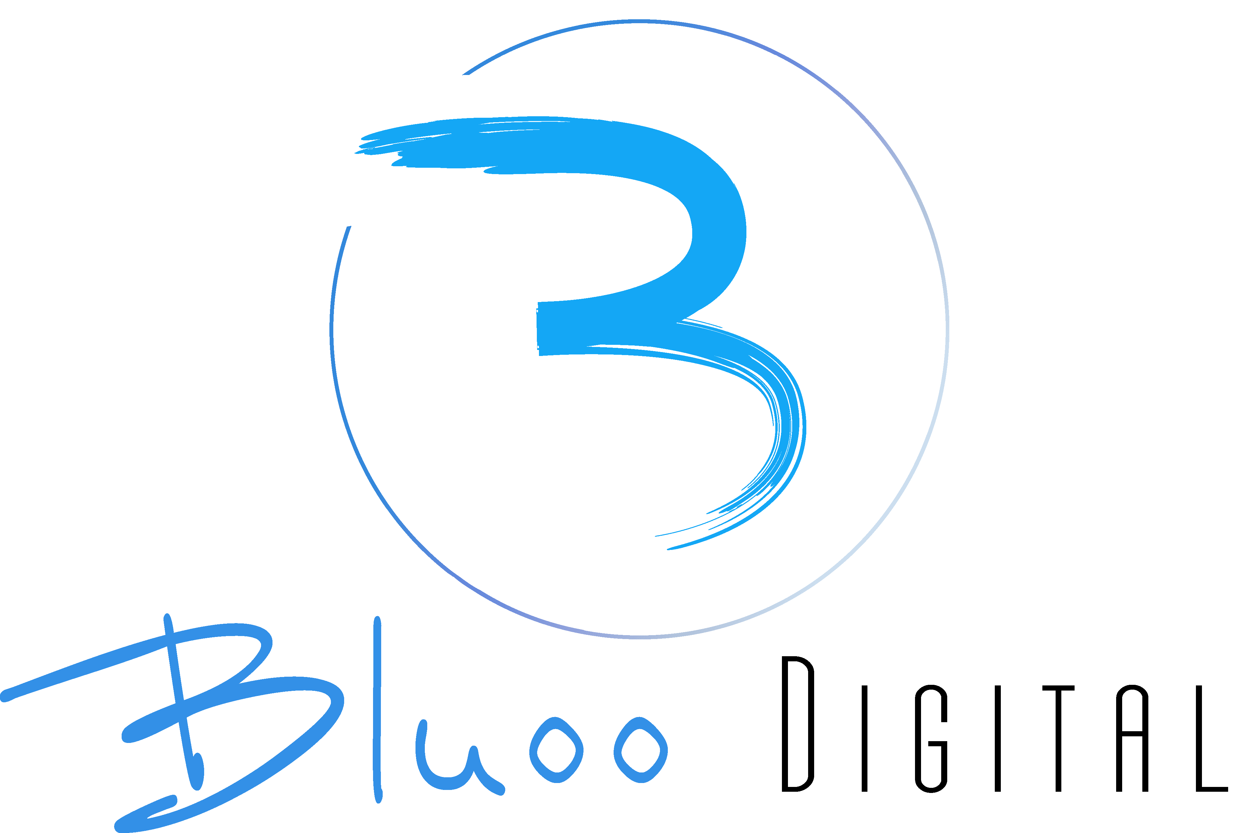 Bluoo Digital Marketing Agency